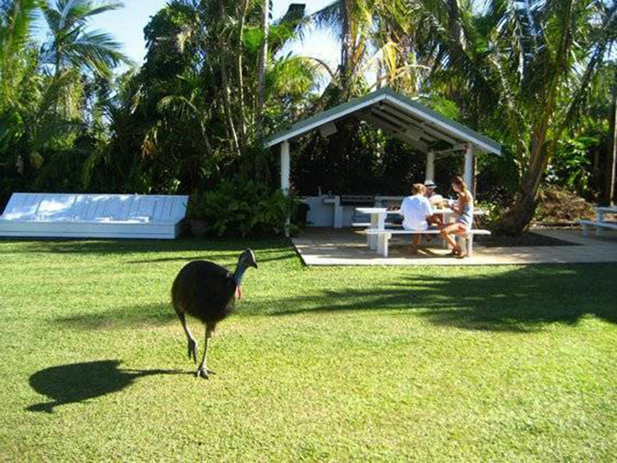 Absolute Backpackers Mission Beach Luaran gambar